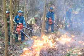 Miền Trung - Tây Nguyên: Nguy cơ cháy rừng rất cao