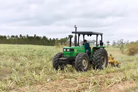 Cơ giới hóa nông nghiệp tại Gia Lai: Nhiều khó khăn cần tháo gỡ