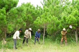 Bài 2: Để người nhận khoán tích cực giữ rừng