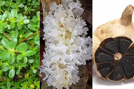 4 thực phẩm ví như nguồn 'insulin tự nhiên', Việt Nam rất nhiều và rẻ