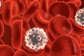 Việt Nam thử nghiệm liệu pháp tế bào miễn dịch điều trị ung thư