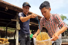 Lão nông níu giữ món ẩm thực hồn quê xứ Quảng