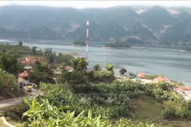 Cả nước đã có 3.787 xã đạt chuẩn nông thôn mới