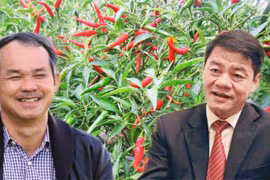 Tỷ phú Trần Bá Dương đưa người vào "đại phẫu" công ty bầu Đức