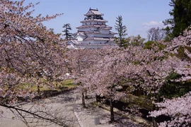 Những hành trình du xuân lý tưởng bằng 'máy bay riêng'