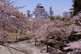 Những hành trình du xuân lý tưởng bằng 'máy bay riêng'