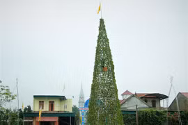 8.000 bầu hành tăm kết thành cây thông Noel cao 20m