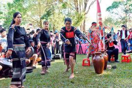 Phục dụng lễ cúng cây nêu cầu an