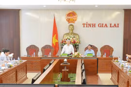 Kiểm tra hoạt động tín dụng chính sách trên địa bàn Gia Lai