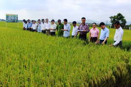 Đảng bộ thị trấn Phú Thiện: Đổi mới phương thức lãnh đạo