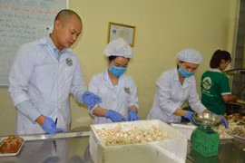 Gã 'Đôn Ki Hô Tê' của cây nấm Việt