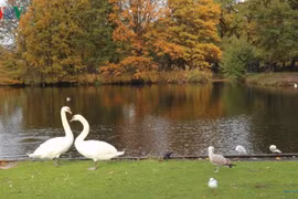 Mùa thu Hà Lan lãng mạn và quyến rũ đến nao lòng