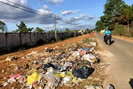 Bãi rác "mọc"... cạnh thùng rác