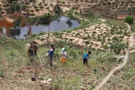 Cơ cực phận đời di cư