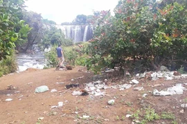 Thác Mơ ngập rác thải