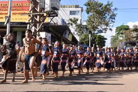 Sôi động lễ hội đường phố