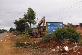 Biển báo giao thông... núp lùm