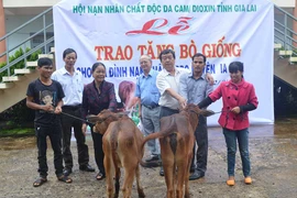 Nhân Ngày Quốc tế Người khuyết tật (3-12): Tạo sinh kế cho người khuyết tật