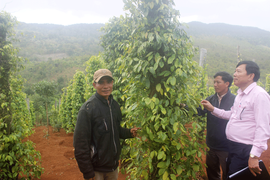 Pờ Yầu mong thoát nghèo