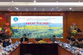 Giá trị xuất khẩu lâm sản đạt trên 9 tỷ USD