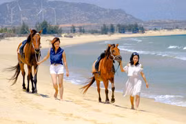 Những điểm "sống ảo" cho du khách dịp Tết dương lịch