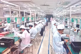 Doanh thu mảng linh kiện điện tử của DLG ước đạt 85 triệu USD