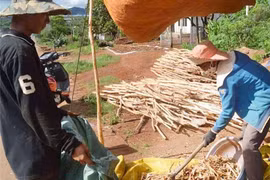 Cung vượt cầu: Giá bời lời giảm mạnh