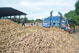 Trung Quốc 'soi' nông sản Việt