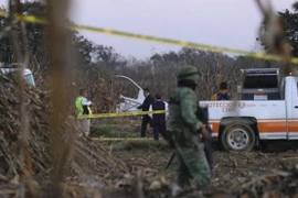 Mexico: Rơi máy bay trực thăng, thống đốc bang Puebla thiệt mạng