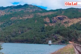 Mê đắm Tân Sơn