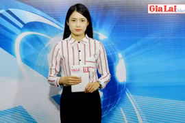 Gia Lai 48h: Khai thác đá quần nát ruộng lúa