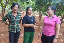 Chi hội trưởng "hai giỏi" trên biên giới