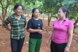 Chi hội trưởng "hai giỏi" trên biên giới