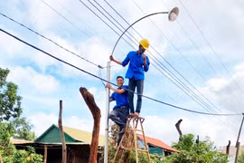 Góp sức trẻ thắp sáng đường quê