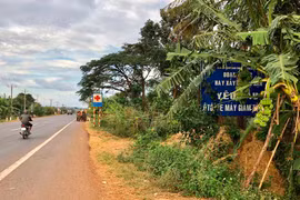 Biển báo giao thông bị che khuất