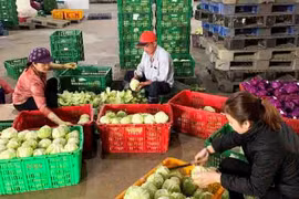 Người bán hàng rong thành "vua rau sạch"