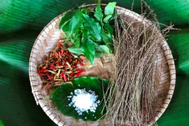 Muối groach - Độc đáo hương vị núi rừng