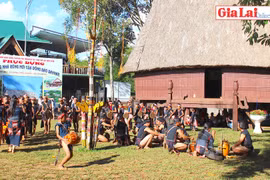 Phục dựng các nghi lễ, lễ hội truyền thống của các dân tộc Tây Nguyên