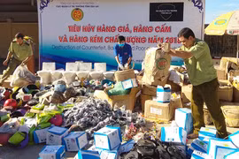 Gia Lai: Tiêu hủy gần 10 tấn hàng hóa vi phạm