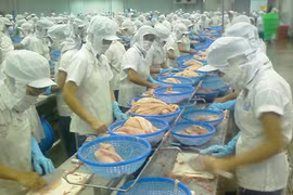 Nhìn lại nông nghiệp năm 2018: Những con số kỷ lục