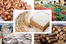 Xuất khẩu nông sản Việt Nam năm 2018 vượt kỷ lục 40 tỷ USD