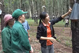 Tuổi trẻ Cao su Chư Prông phát huy vai trò xung kích, sáng tạo