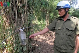 Kim tiêm "bủa vây" khu công nghiệp và vườn rẫy của dân ở Đắk Lắk