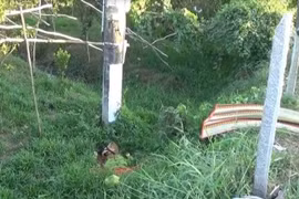 Chồng giết vợ bằng 12 nhát dao rồi uống thuốc sâu tự tử