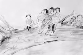 Chuyện một cái cây