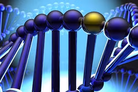 Đầu tư 4,5 triệu USD nghiên cứu giải mã bộ gen người Việt