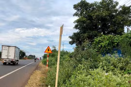 Biển cảnh báo bị che khuất