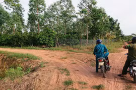 Xà xẻo đất rừng