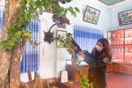 Khu Bảo tồn thiên nhiên Kon Chư Răng: Nỗ lực bảo tồn đa dạng sinh học