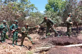Đồn Biên phòng Ia O đấu tranh hiệu quả với các loại tội phạm